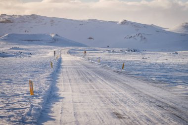 İzlanda'daki boş yol