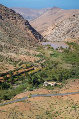 Fuerteventura ada manzara