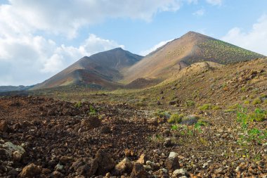 Fuerteventura ada volkanik manzara