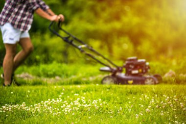 Genç adam çim biçiyor.