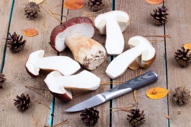 Yarım çiğ cèpes ve koniler bir tablo