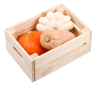 Kabaklar ve pattypan squash mezarda izole edilmiştir 