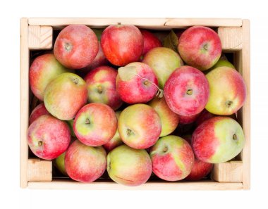 Ahşap kutu dolu taze elma beyaz izole