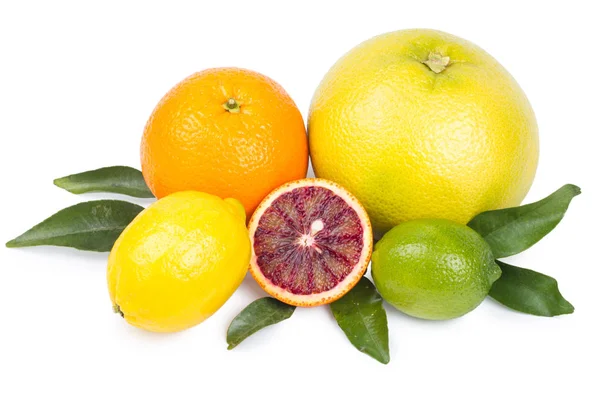 Isolated citrus fruits. Grapefruit, orange, lemon and lime isola — Stock Photo, Image