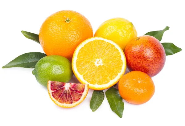 Geïsoleerde citrusvruchten. Grapefruit, sinaasappel, citroen, limoen en tan Stockafbeelding