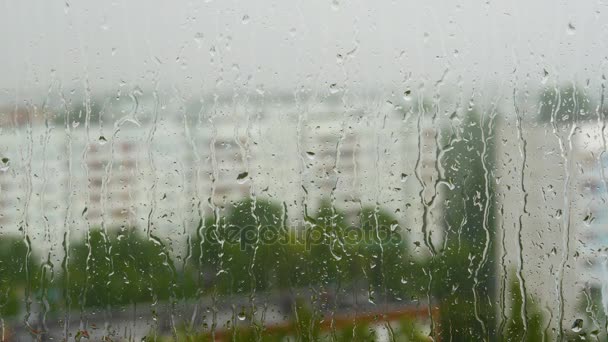 Letní tichý déšť za oknem. Kapky vody pomalu stékat skla. Déšť se klepe na okenním parapetu. Za oknem vidíte město trochu. Léto je zamračený den.