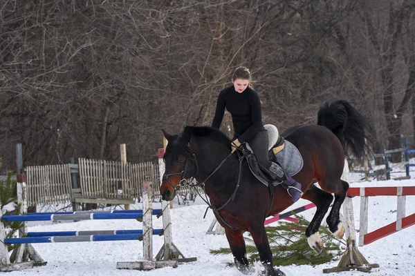 A girl on a horse jumps over the barrier. Training girl jockey riding a horse. A cloudy winter day.