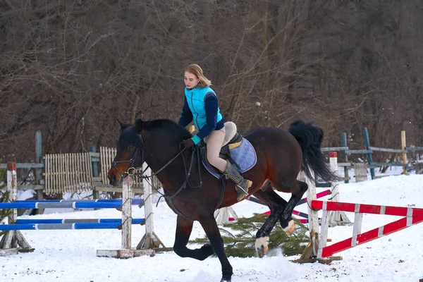 A girl on a horse  jumps  gallops. A girl trains riding a horse in a small paddock. A cloudy winter day.