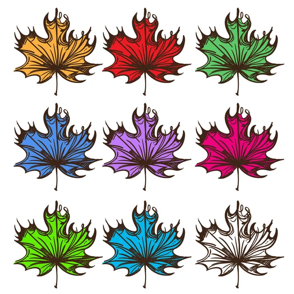 Conjunto de hojas multicolores — Vector de stock
