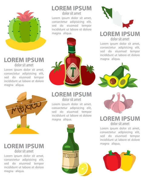 Elemen infografis Meksiko - Stok Vektor