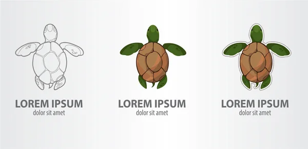 龟的标志集 — 图库矢量图片