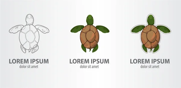 Kaplumbağa logolar seti 