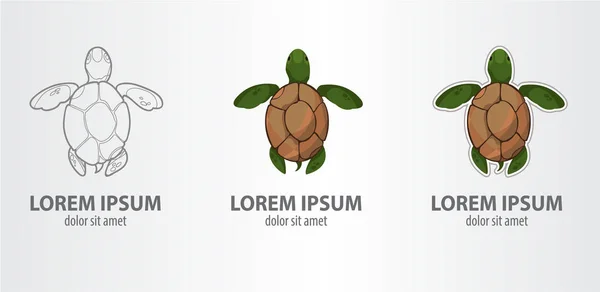 거북 로고 세트 — 스톡 벡터