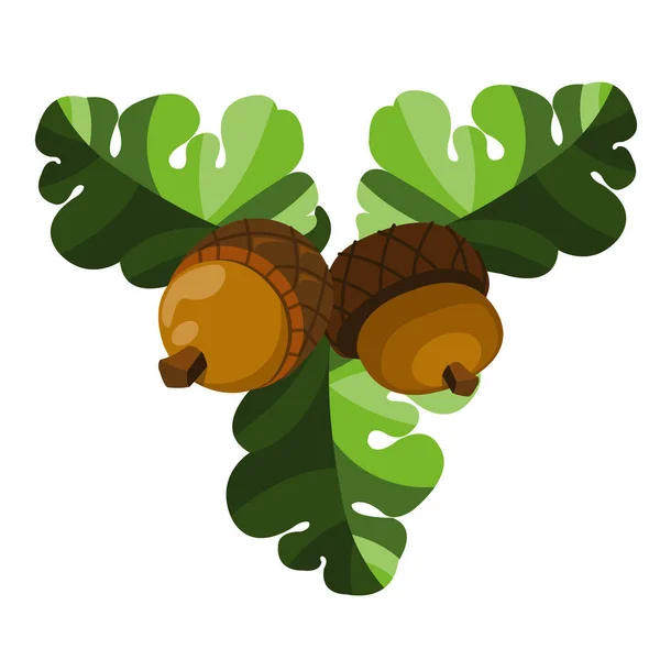 Two acorns with oak leaves. — Stock Vector