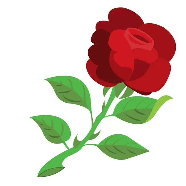 玫瑰，花彩插图，徽标. — 图库矢量图片