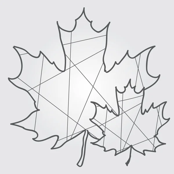 Feuilles d'érable dessin de contour polygonal . — Image vectorielle