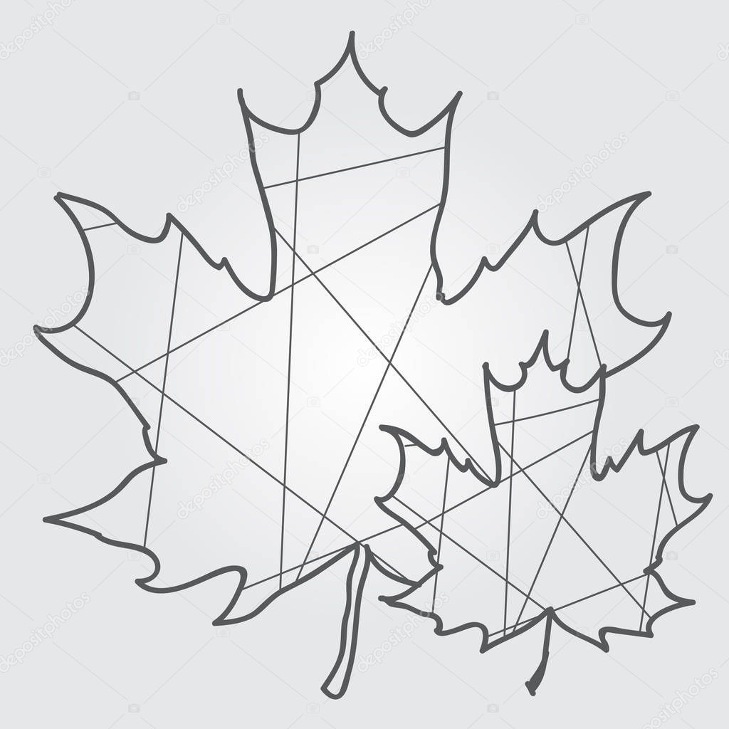Maple leaves polygonal outline drawing.vector illustration