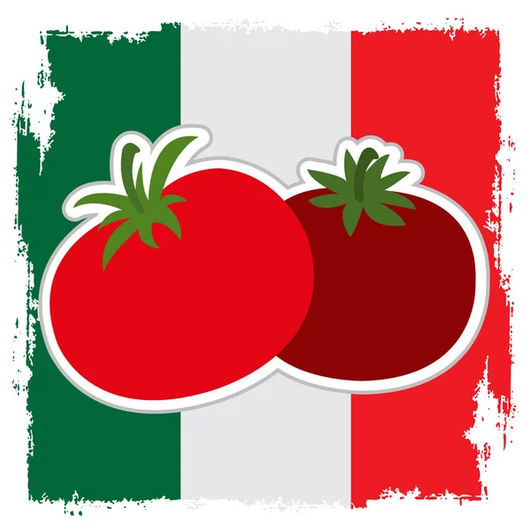 Dos tomates rojos maduros — Vector de stock