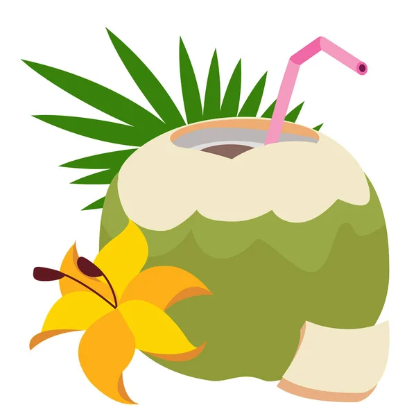 Ikona kokosa kokosowego — Wektor stockowy