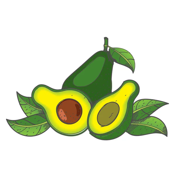 Avocado logo frutta — Vettoriale Stock