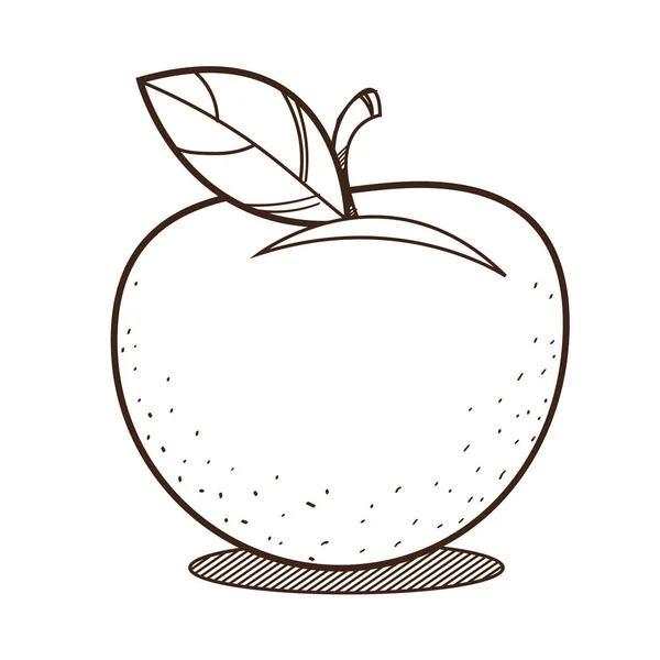 Desenho de esboço de maçã para colorir — Vetor de Stock