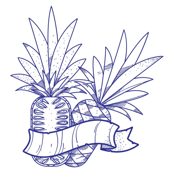 Ananas-Logo. Fruchtdesign. — Stockvektor