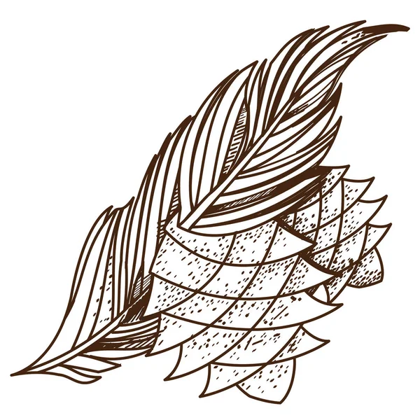 Jedle Kavkazská a větev logo. — Stockový vektor
