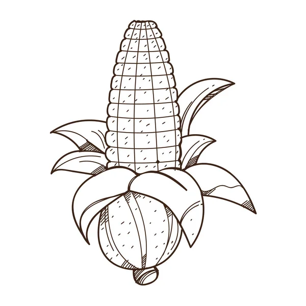 Logo telinga jagung . - Stok Vektor