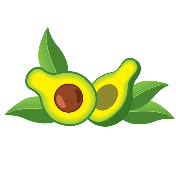 Avocadofrucht-Logo. Hälften der Avocadoblätter. — Stockvektor