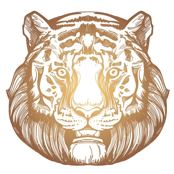 Museau d'une illustration de tigre — Image vectorielle