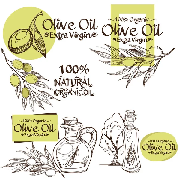 Ramas y botellas de olivo — Vector de stock