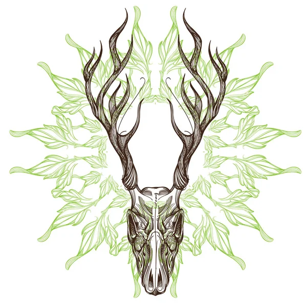 Boceto de cráneo de ciervo — Vector de stock