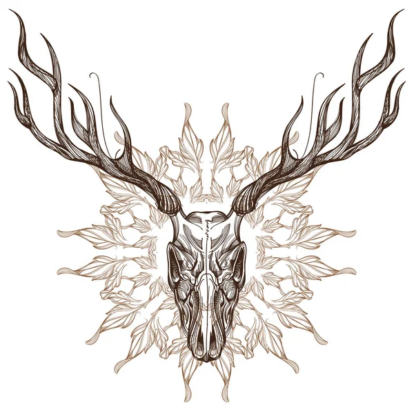 Boceto de cráneo de ciervo — Vector de stock