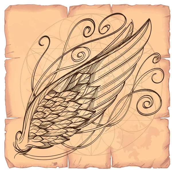 古い紙の背景に翼 — ストックベクタ