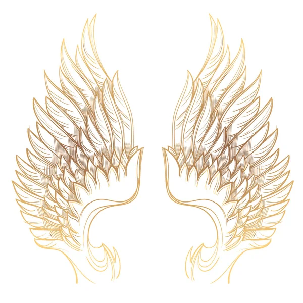 Vector illustration of golden wings — Stock Vector