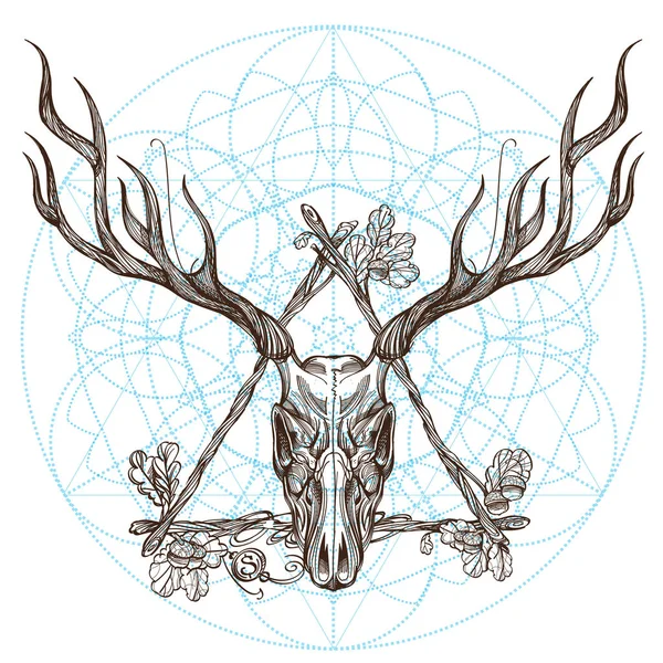 Bosquejo de cráneo de ciervo en marco . — Archivo Imágenes Vectoriales
