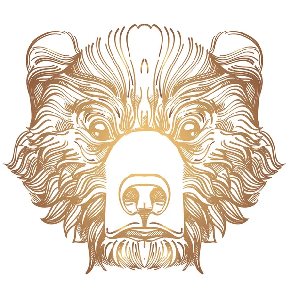 Muzzle bear illustration — Stock Vector