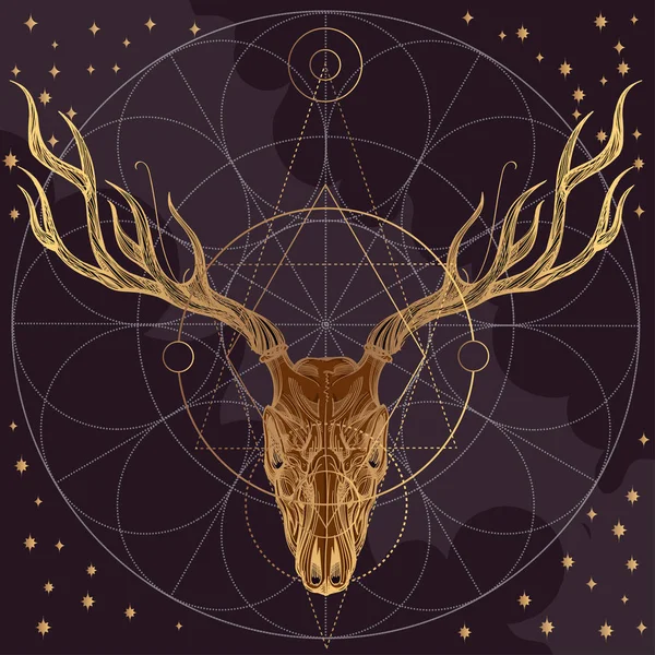 Sketch of deer skull — Stock Vector