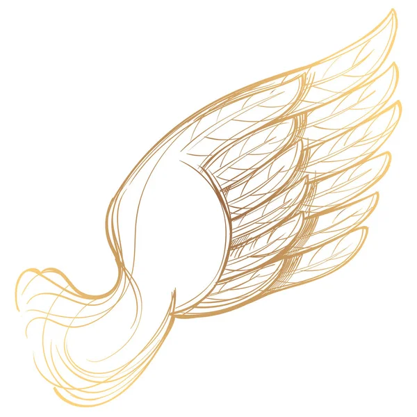 Illustration des goldenen Flügels — Stockvektor