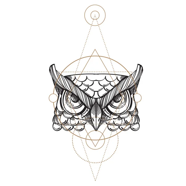 Museau d'une illustration de hibou — Image vectorielle