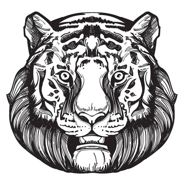 Muso di una tigre illustrazione — Vettoriale Stock