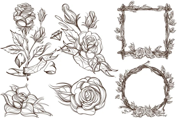 Botanical graphics. Roses. Vector Graphics