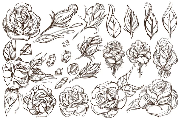 Set of illustrations with buds Royalty Free Stock Vectors