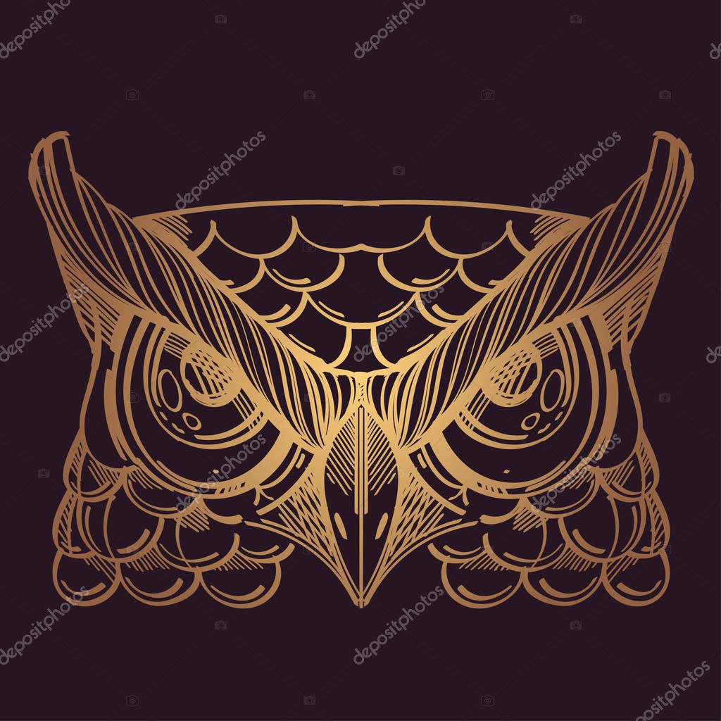 Muzzle of an owl illustration for creating sketches of tattoos, printing on clothes, design of posters and leaflets.