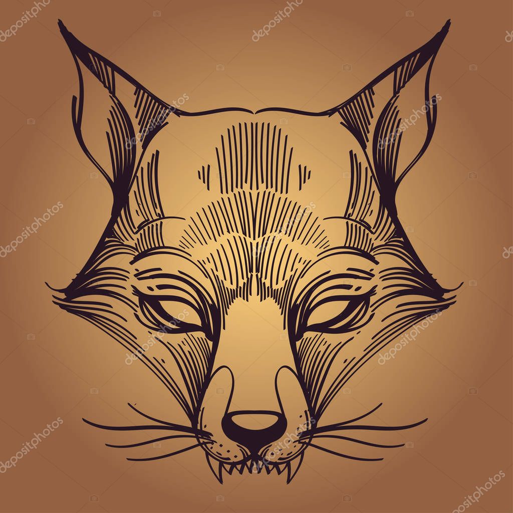 Outline sketch of foxy muzzle on beige background