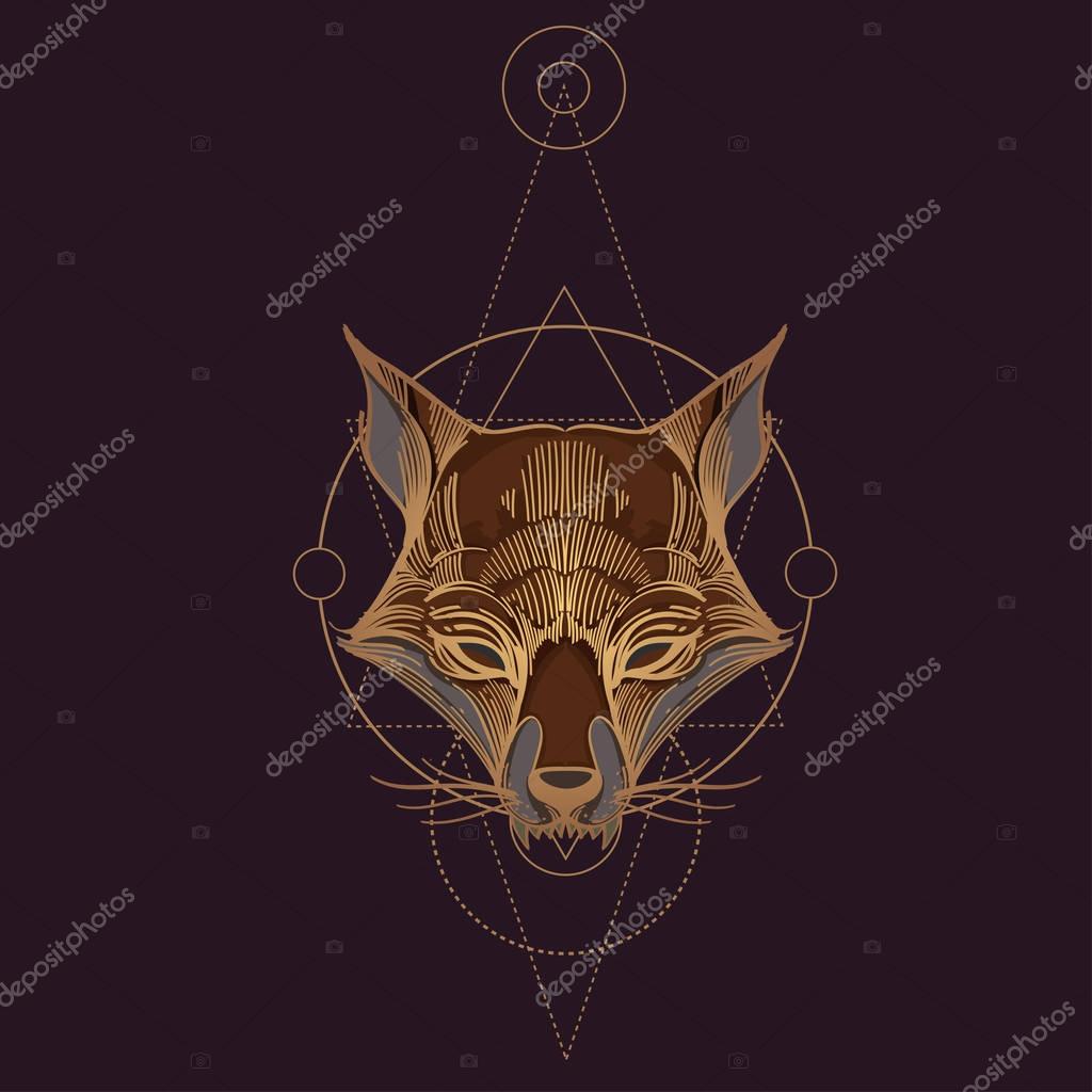 Outline sketch of foxy muzzle on black background