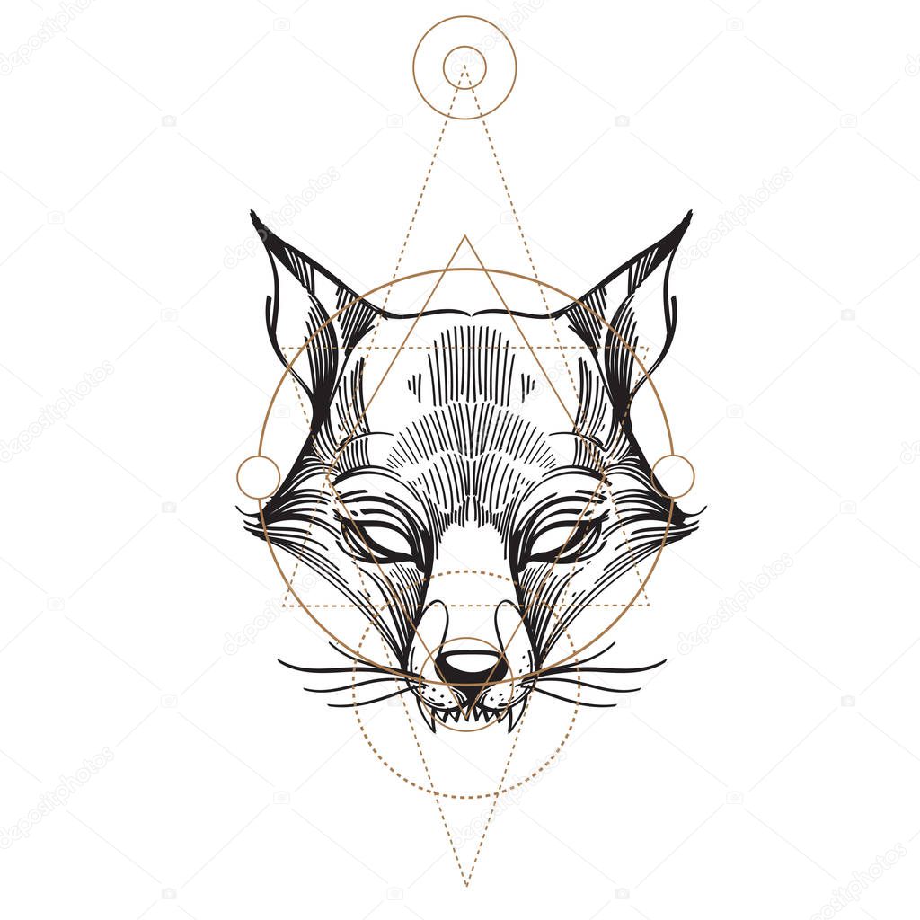 Outline sketch of foxy muzzle on white background