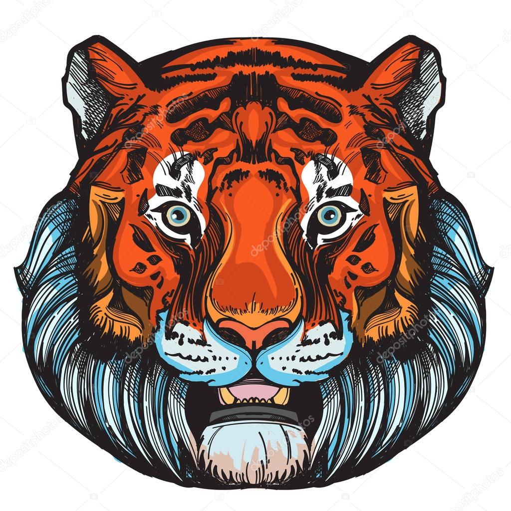 Muzzle of a tiger illustration for creating sketches of tattoos, printing on clothes, design of posters and leaflets.