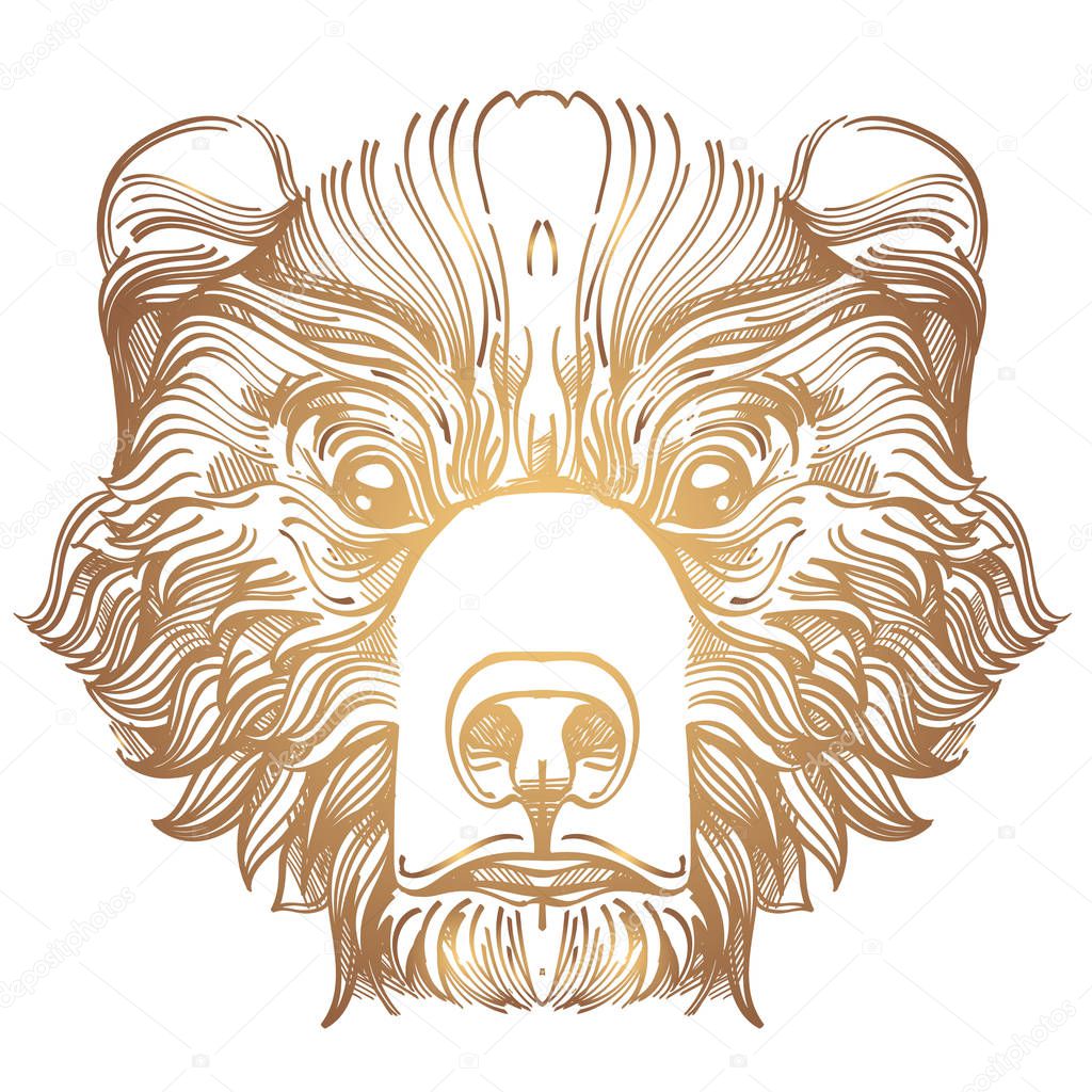 Muzzle bear illustration 