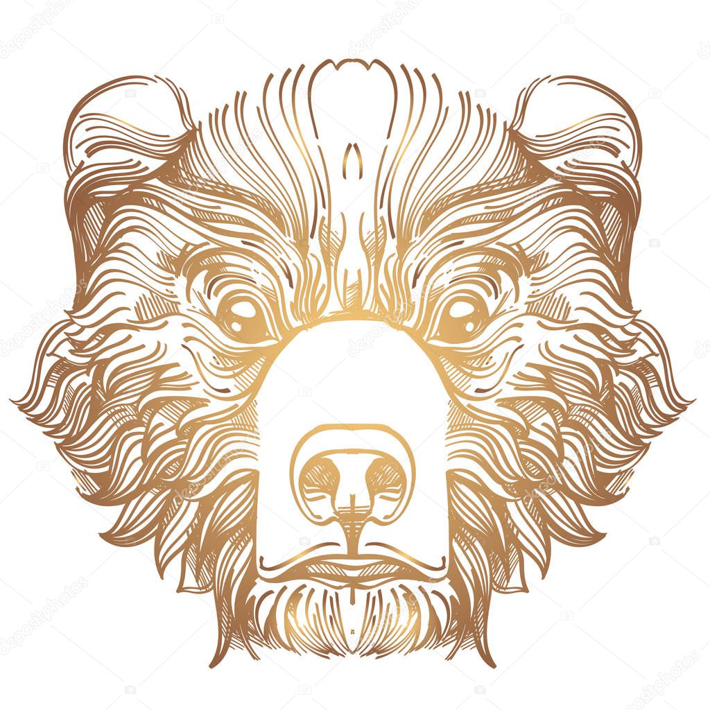 Muzzle bear illustration for creating sketches of tattoos, printing on clothes, design of posters and leaflets.
